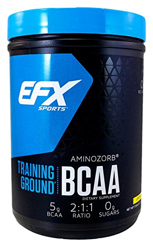 EFX Sports Training Ground BCAA Powder, Lemonade, 500 Gram