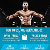 EFX Sports Kre-Alkalyn EFX